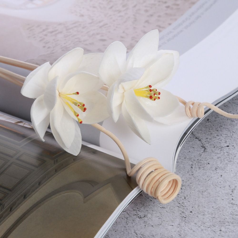 다용도 5cm 천연 수제 향료 거실용 가정용 아로마 향 - Home Fragrance Natural 리뷰 및 가격